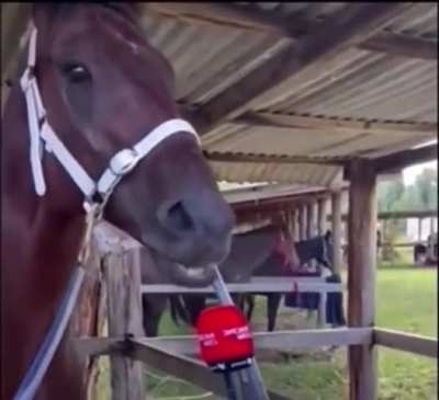 Was it worth it to be happy for a little bit...