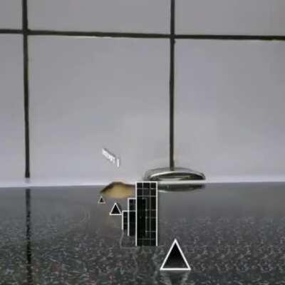 Posting random videos from my phone until I buy a new home button - day 64