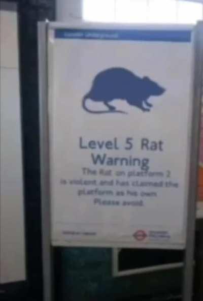 DramaticText - Video #8243