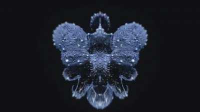 Hey guys! I just updated our showreel. Any feedback is welcome!