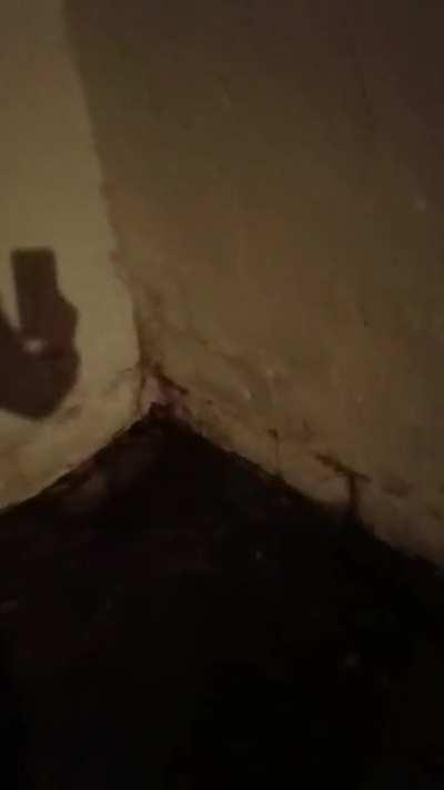 Figured out why the basement gets so wet when it rains (oc)