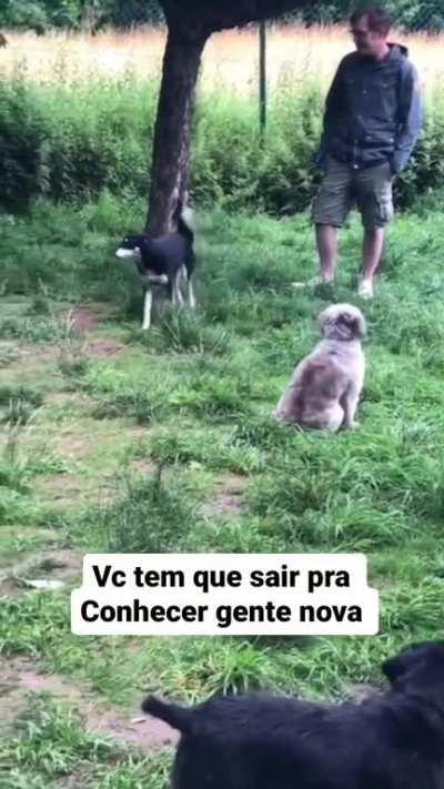 eu_nvr