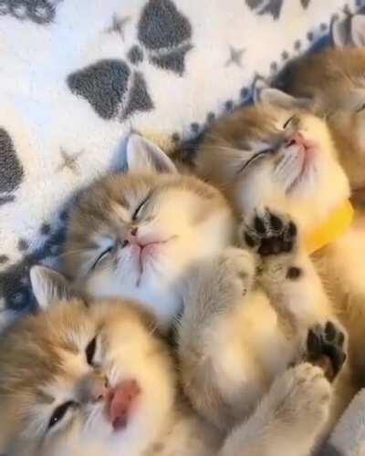 Waking up from nap time