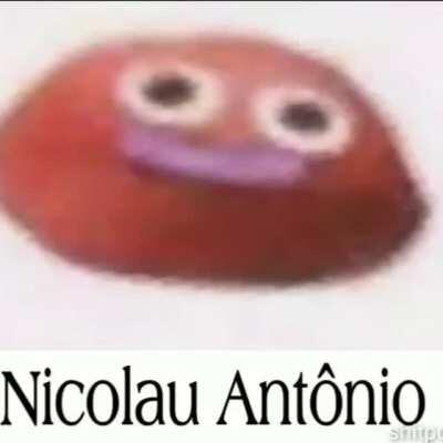 Nicolau antonio