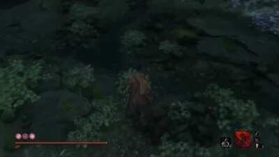 Burn you stupid monkeys