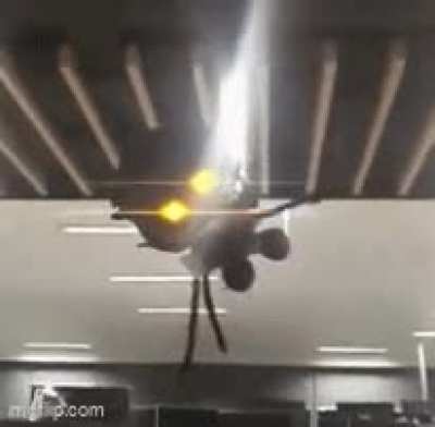 On the first day of christmas my murder drone gave to me...ONE ROBO SILLY DRONE!