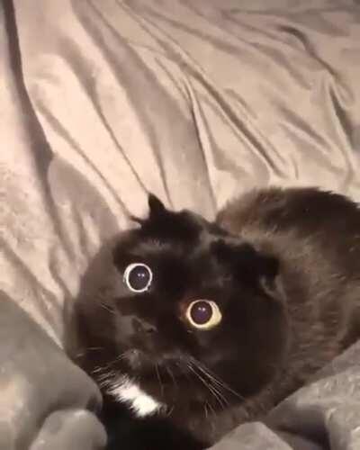 It’s finally kicking in