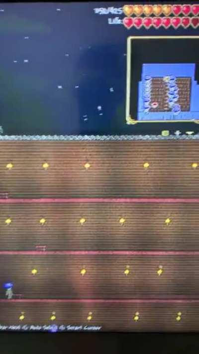 All my npc turned into mushrooms