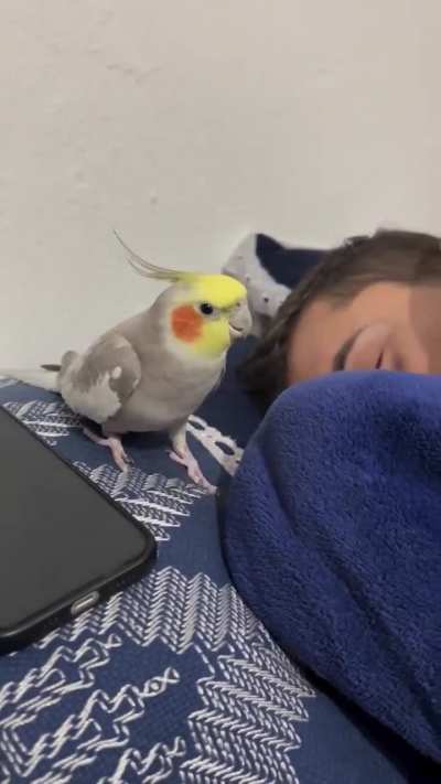 My neverending Story Alarm