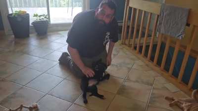 Lil' update on Stella, 10 days after adoption