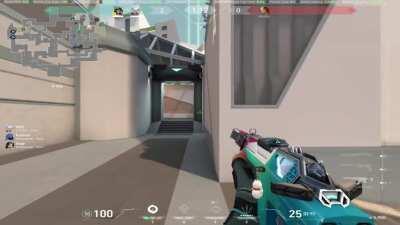 Just your average immortal game