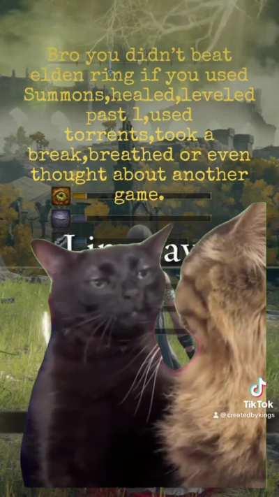 Did you beat Elden Ring?