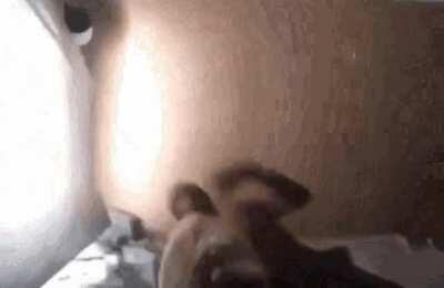 When you wake up and remember the raid boss