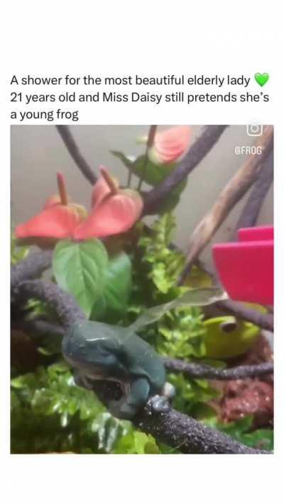 elderly? miss daisy speaks vitality