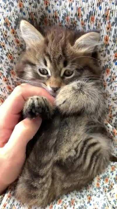 She is feeling warm :) She thanked me by making that cute face :)