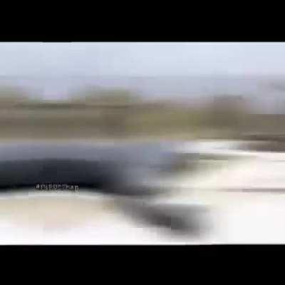 I love just wars 😍😍