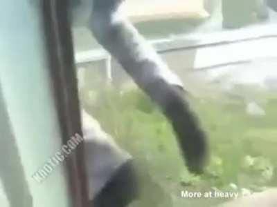 Russian dude tries to fight a tree in a rather peculiar way