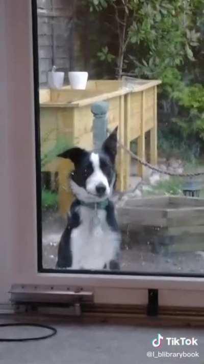 Look at my tongue, mummy 🤣