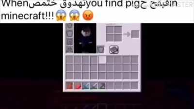 Acho q comprei o Minecraft errado ...