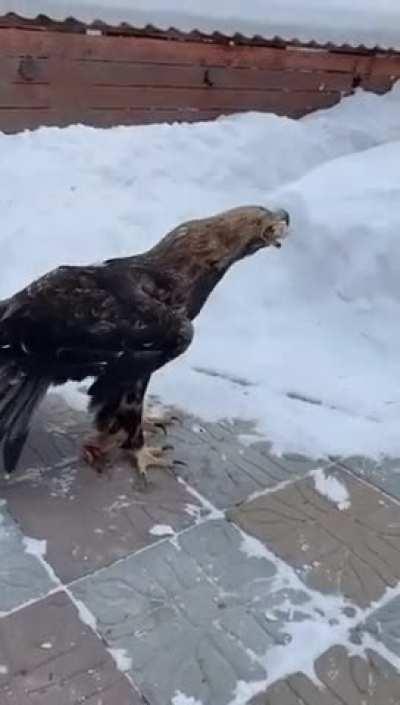 Good lesson, yet maybe not learned