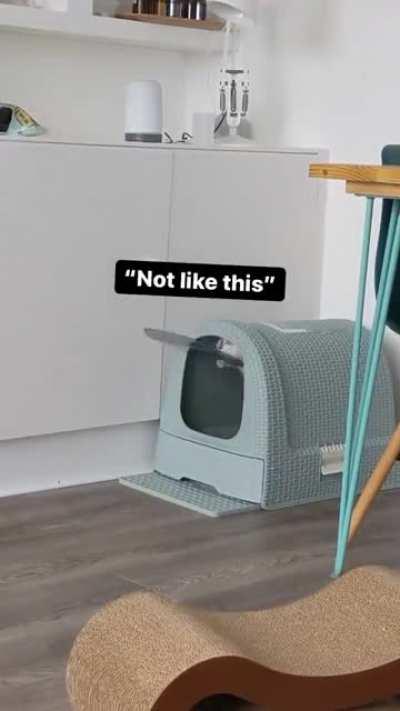 Your cat will love it!