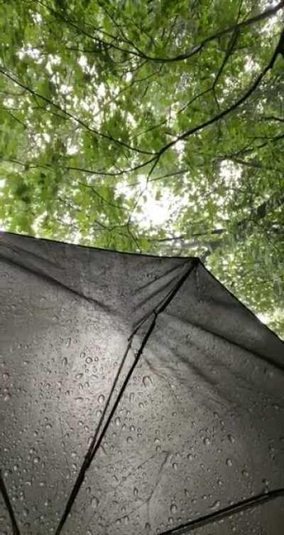 Another thunderstorm today