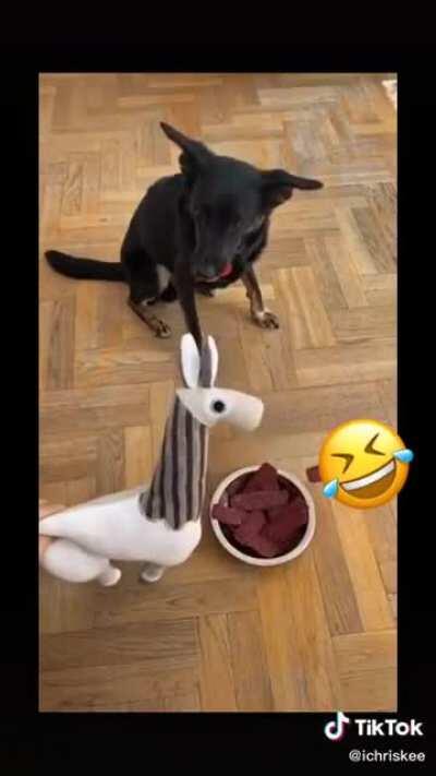 I wasn’t hungry anyway