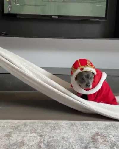 Боже храни короля