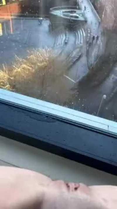 I hope somebody enjoyed the view as much as I did