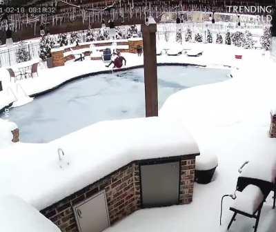 Woman rescues dog which fell into pool and got trapped under ice.