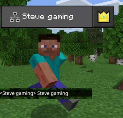 Steve gaming