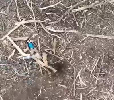 some greetings for russians trying to starve the world and destroy ukrainian culture