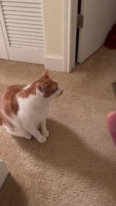 My Partner Thinks We Broke Him