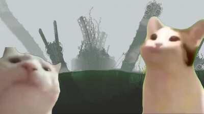 two cats just vibing to The Captain in the middle of the shoreline