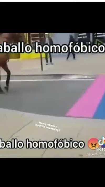 Caballo homofobico