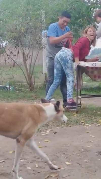 So you're a man of culture 😏