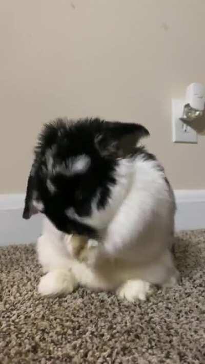 Gotta stay clean 🥰