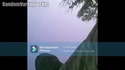 Zeta Halo's Pizza Menu (Back)