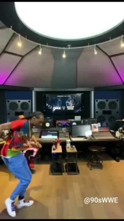 Snoop Dogg living his best life 😂😂 (Alpha Wolf - Akudama)