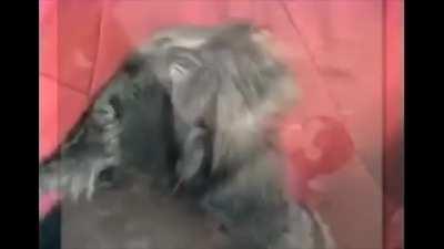 Flashback intensifies