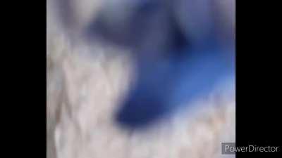 Hey, you, you're finally awake.