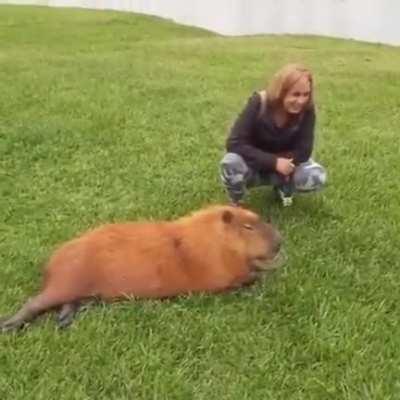 Needed to share. Creates a Contagious smile😁