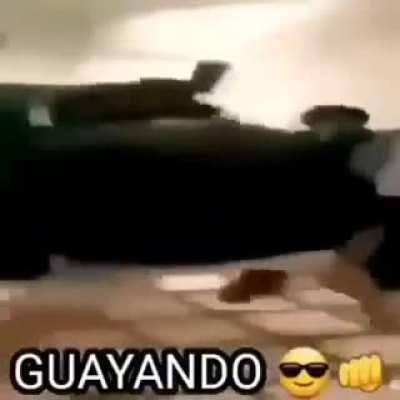 GUAYANDO😎👊