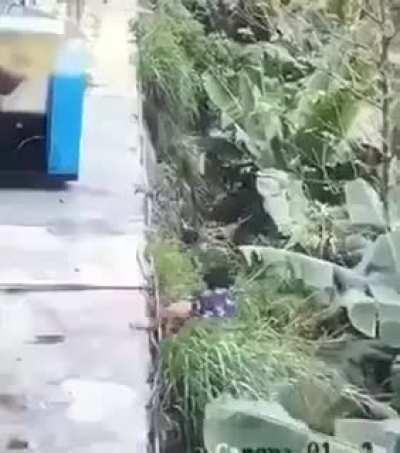 Ooops there is a Security Camera