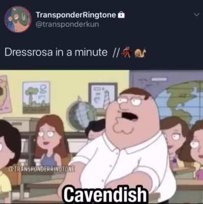 Dressrosa explained with memes!!! Credits: @TransponderRingtone