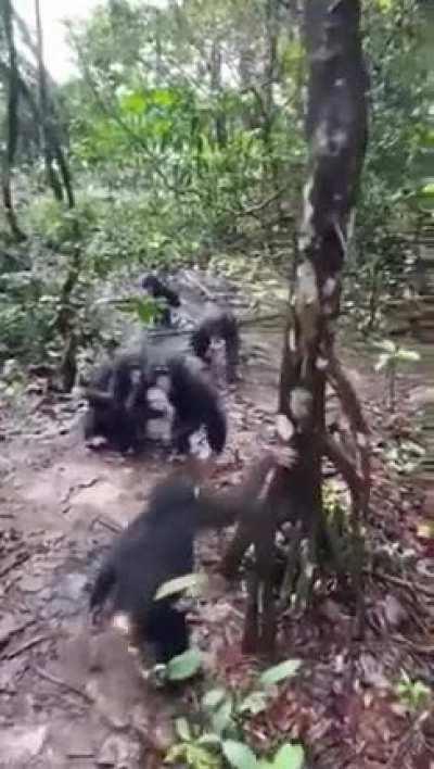 🔥Little boy Beckley meeting his new family for the first time
