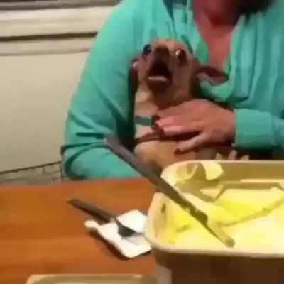 I was digging through my phone's gallery and ran into this