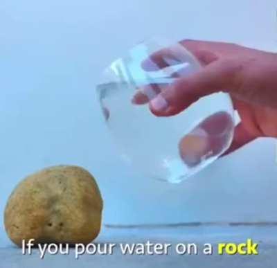 Wow, truly inspiring!