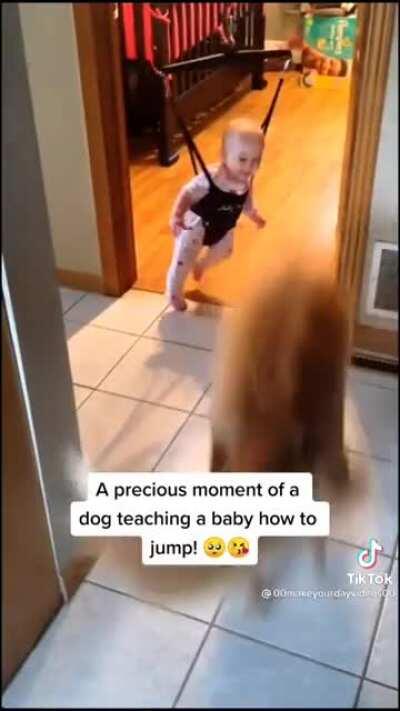 This doggo teaching the baby how to jump