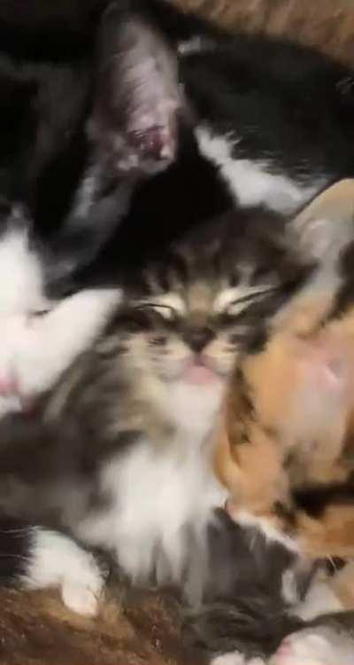 He is very popular with girls!